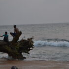 A color photograph of an uprooted tree by the ocean. The sky is grey, and the tree's tangled roots serve as a perch to three teenagers of darker complexion. The ocean's waters are churned into gentle waves, reflecting the clouded sky in a slate-colored hue.