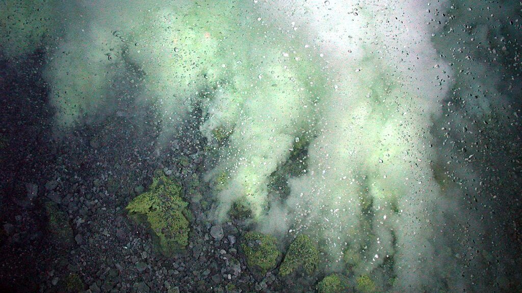 white and green bubbles on a lake
