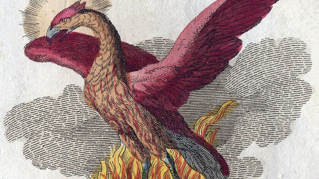 A phoenix raising its wings while surrounded by flames